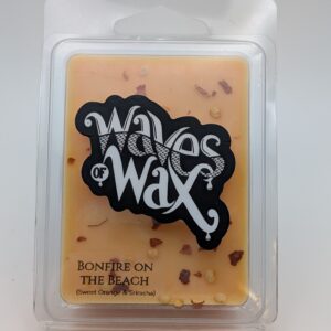 Bonfire Beach  - Clamshell Tart