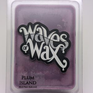 Plum Island  - Clamshell Tart